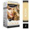 GLAMORIZE LIGHT BLONDE NO 3 HAIR DYE