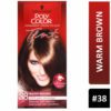 POLY COLOR 38 WARM BROWN