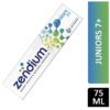ZENDIUM TOOTHPASTE JUNIORS 7+ **EXPIRED 30/03/19**  75ML