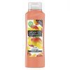 ALBERTO BALSAM S/POO MANGO & PASSIONFRUIT 350ml