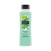 ALBERTO BALSAM COND TEA TREE 350ML PM £1