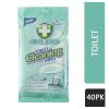 GREEN SHIELD TOILET CLEANING WIPES 40'S