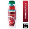 PALMOLIVE S/POO 350ML COLOURED HAIR BRILLIANT COLOR